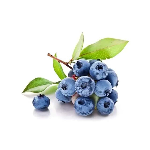 Blueberry Extract