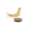 Ginseng Extract