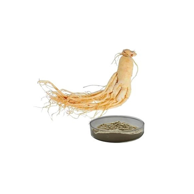 Ginseng Extract