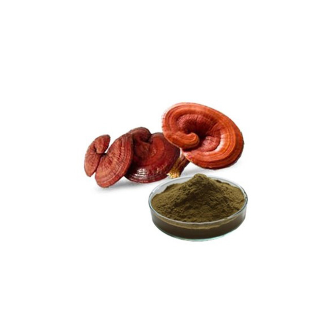 Organic Reishi Extract / Reishi Extract