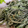Plantago Herb Extract