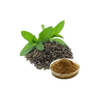 L-Theanine