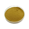Angelicae Pubescentis Extract