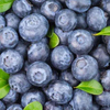 Blueberry Extract