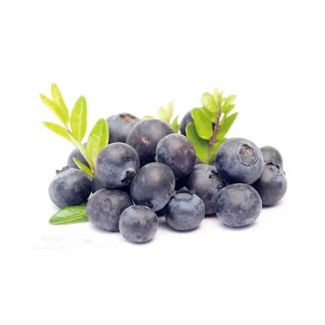 Bilberry Extract 
