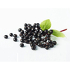 Elderberry Extract