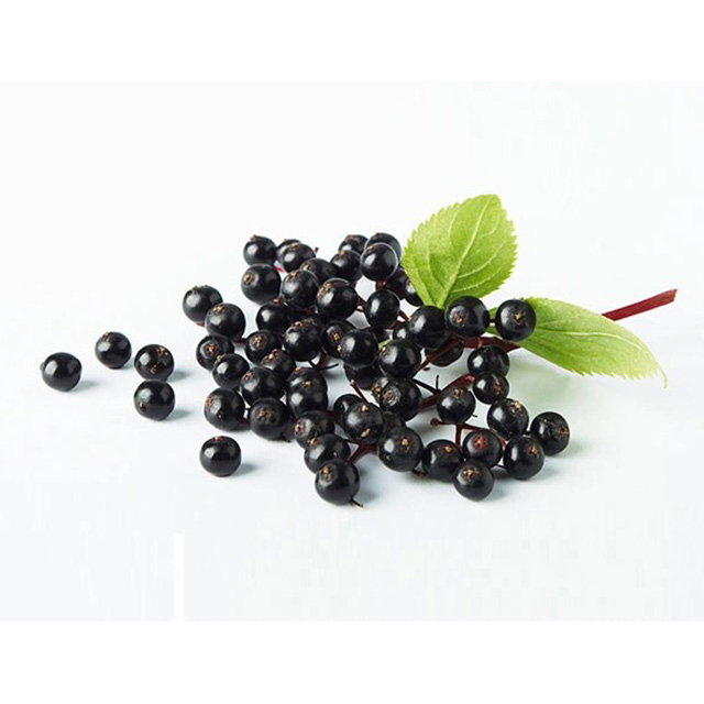 Elderberry Extract