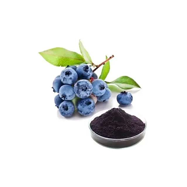 Blueberry Extract
