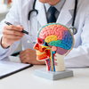 Brain Health & Mood Management