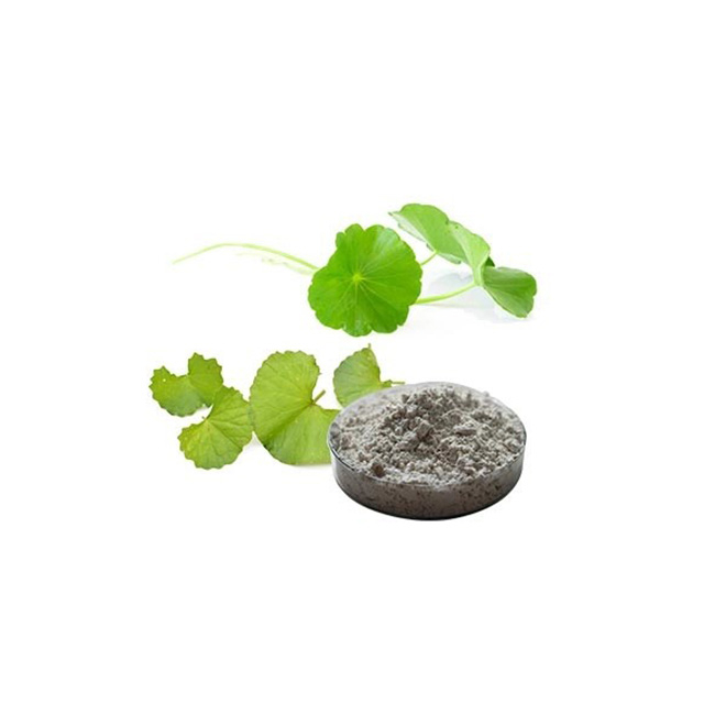 Gotu Kola Extract 