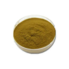 Artichoke Extract