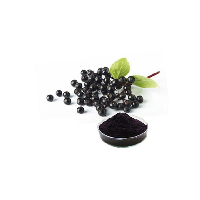 Elderberry Extract