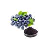 Bilberry Extract 