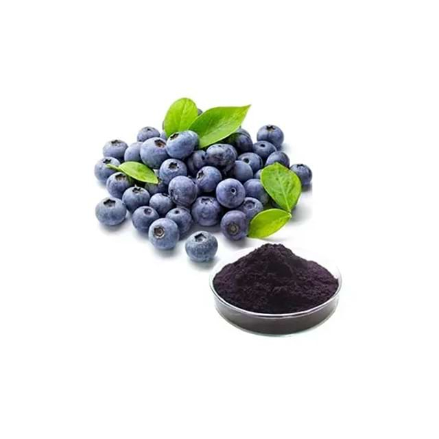 Bilberry Extract 