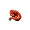 Organic Reishi Extract / Reishi Extract