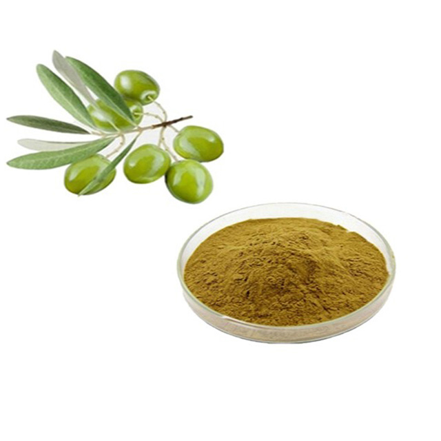 Olive Leaf Extract/Olive Extract 