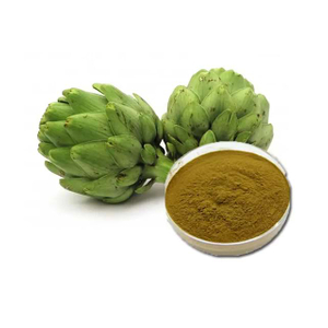Artichoke Extract
