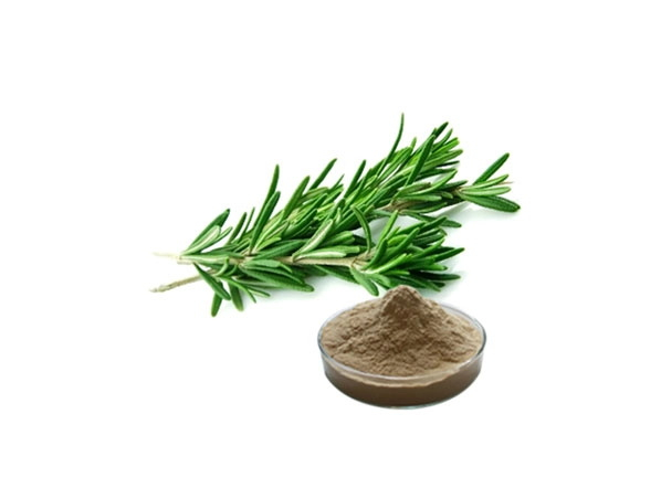 Rosemary Extract
