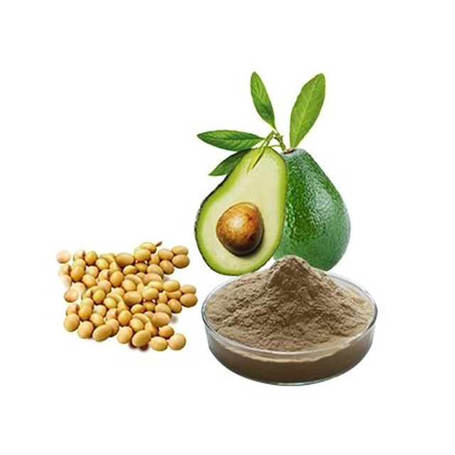 Avocado Soybean Unsaponifiables
