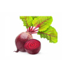 Beet Root Extract