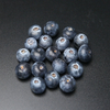 Bilberry Extract 