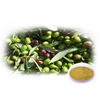 Olive Leaf Extract/Olive Extract 