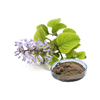 Rabdosia Japonica Hara Extract/Powder
