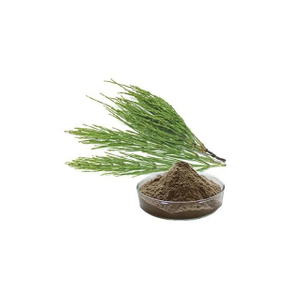 Horsetail Extract