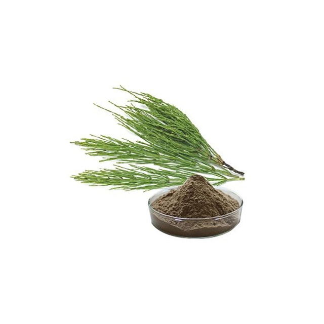 Horsetail Extract