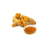 Turmeric Extract