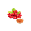 Gojiberry Extract